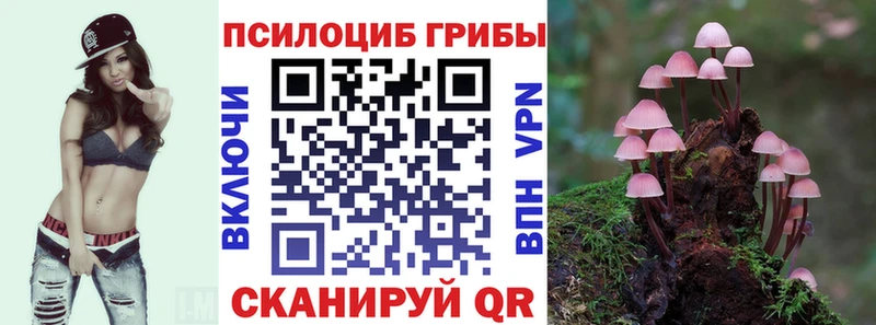 Галлюциногенные грибы Psilocybine cubensis  Мензелинск 